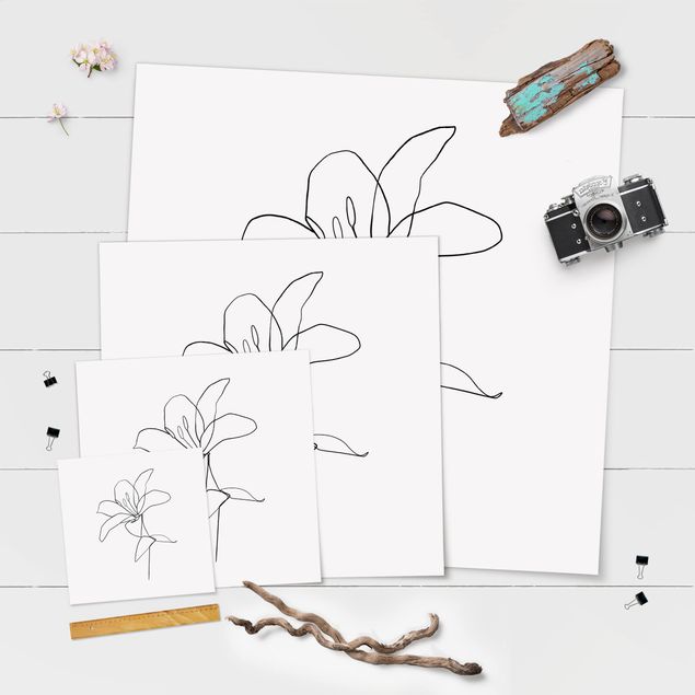 Stampe Line Art - Fiore Bianco e Nero