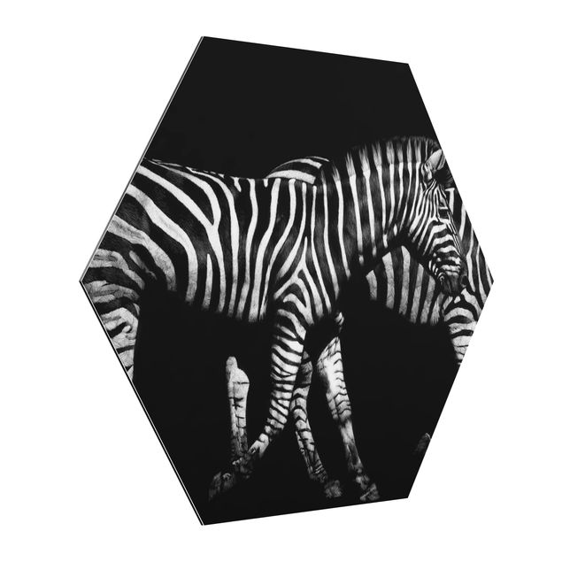 Quadro animali Zebra nel buio