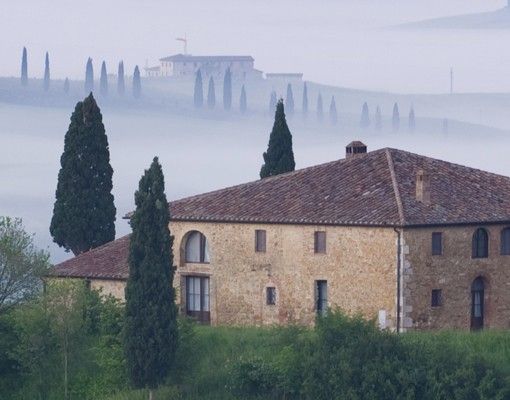 Pellicole per piastrelle verdi Alba in Toscana