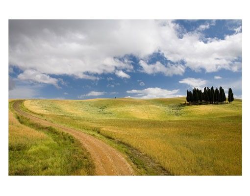 Pellicola per vetri colorata Cipressi in Toscana