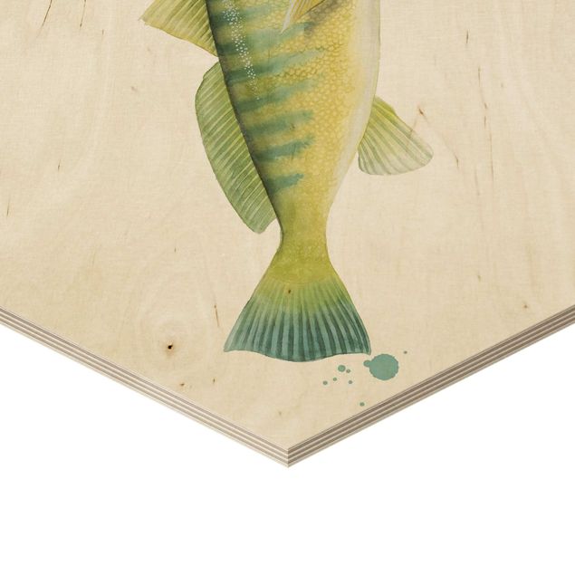 Esagono in legno - Trappola Ink - Fish Set I