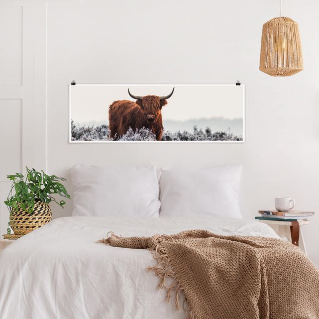 Poster con animali Bisonte nelle Highlands