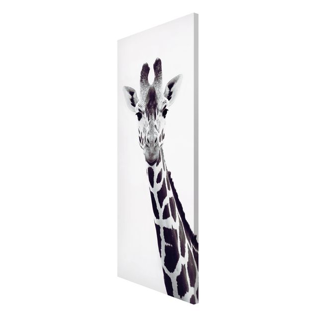Quadri bianco e nero Ritratto di giraffa in bianco e nero
