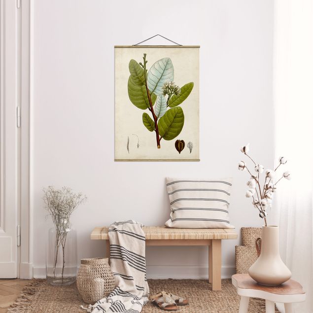 Quadri floreali moderni Poster con piante caducifoglie