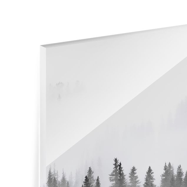 Paraschizzi in vetro - Nebbia nel bosco di abeti in bianco e nero - Quadrato 1:1