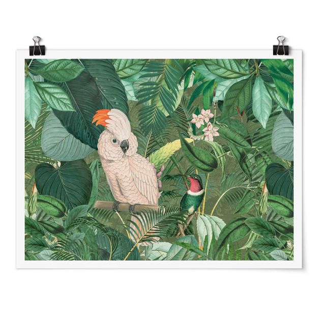 Quadri verdi Collage vintage - Cacatua e colibrì