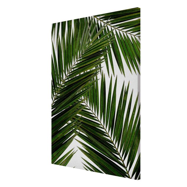 Quadri moderni   Vista attraverso le foglie di palma verde