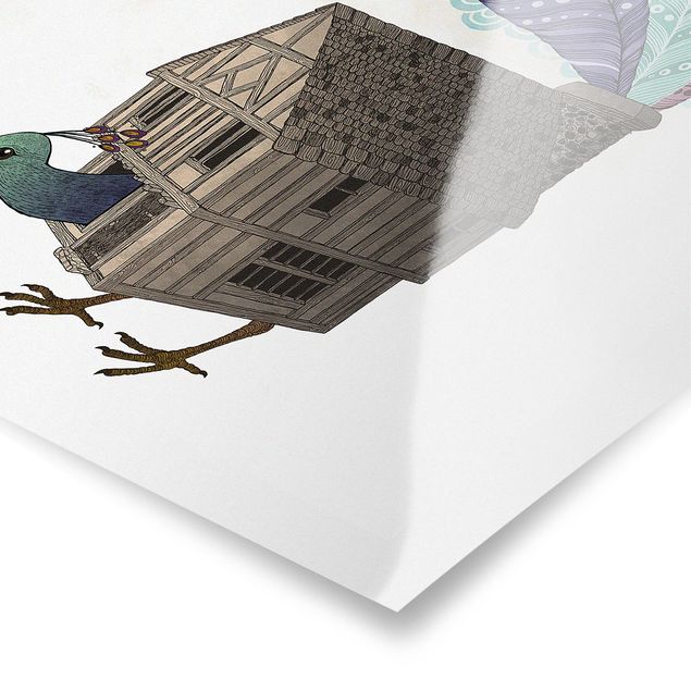 Stampe Illustrazione - Casetta per uccelli con piume