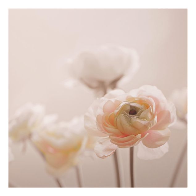Amore quadri Delicato bouquet di fiori rosa chiaro