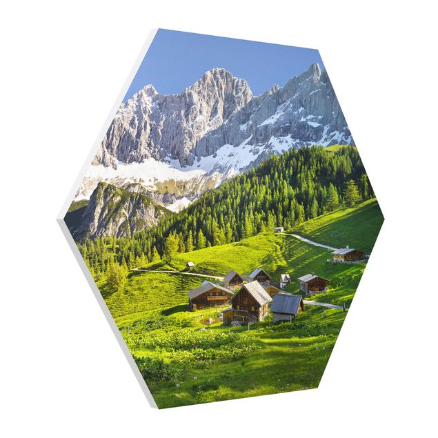 Quadro moderno Prato alpino della Stiria