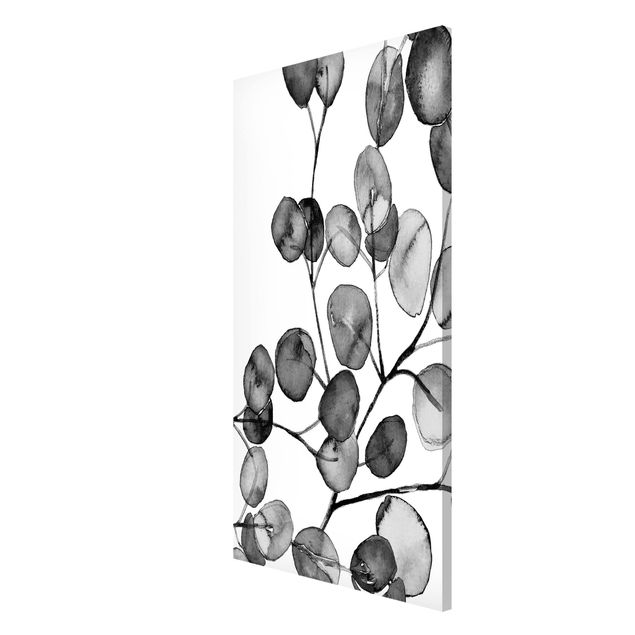 Quadri fiori Acquerello di ramoscelli di eucalipto in bianco e nero