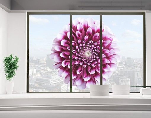Adesivi per finestre con fiori Astro