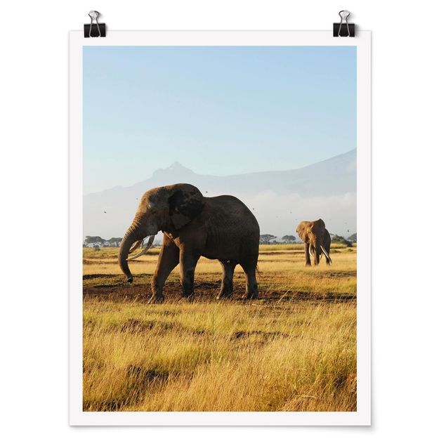 Elefante quadro Elefanti di fronte al Kilimangiaro in Kenya