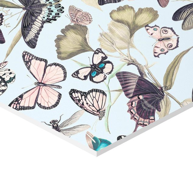 Stampa forex Collage vintage - Farfalle e libellule