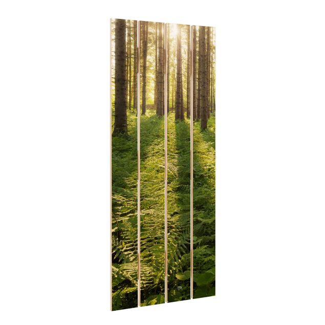 Stampa su legno - Raggi di Sun nel verde della foresta - Verticale 5:2
