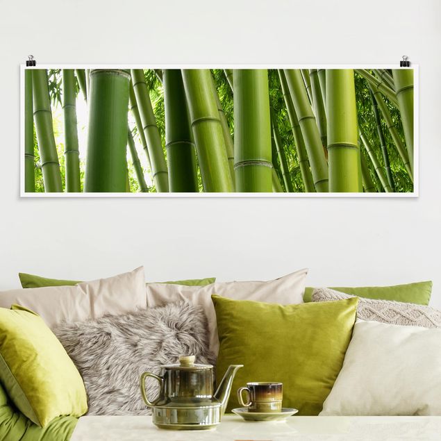 Quadri con paesaggio Alberi di bambù