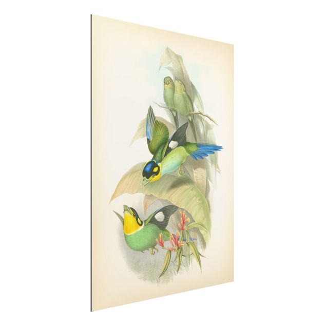 Quadri con fiori Illustrazione vintage Uccelli tropicali