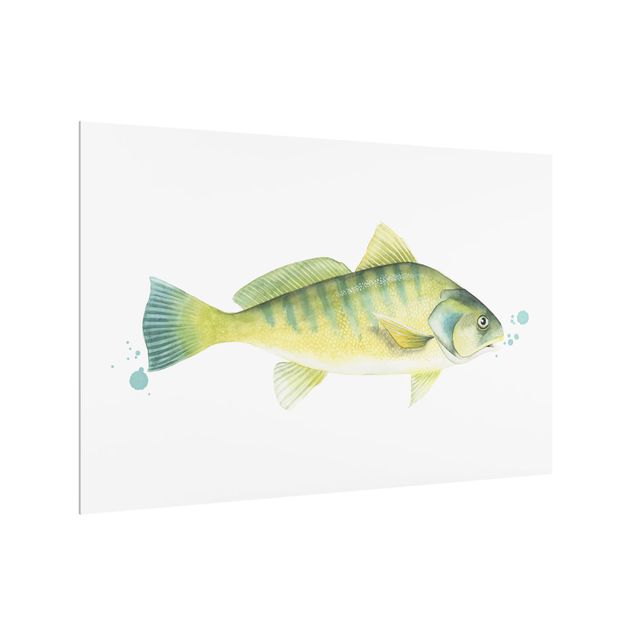 Paraschizzi cucina vetro Colore Cattura - Pesce persico
