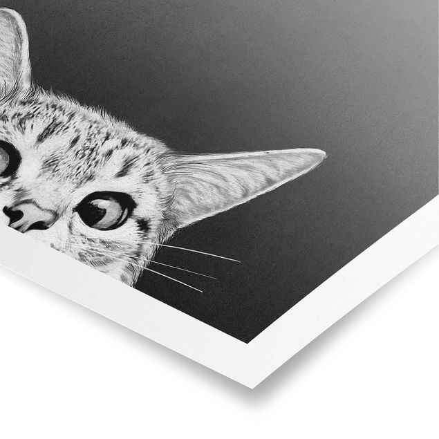 Poster bianco e nero Illustrazione - Gatto Disegno in bianco e nero