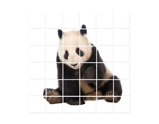 Carta adesiva Zampe di panda