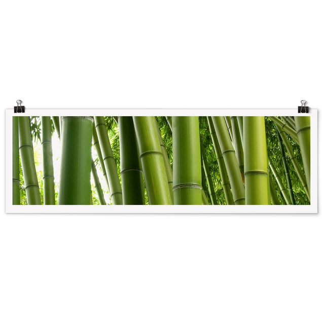 Quadro moderno Alberi di bambù