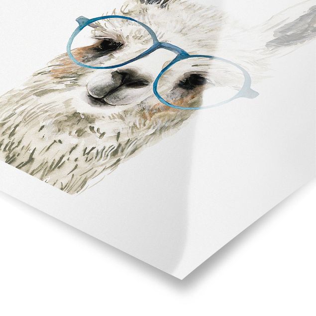 Stampe Hip Lama con occhiali III