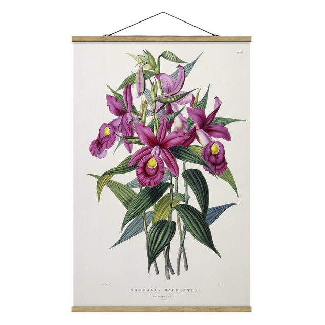 Quadri con fiori Maxim Gauci - Orchidea I