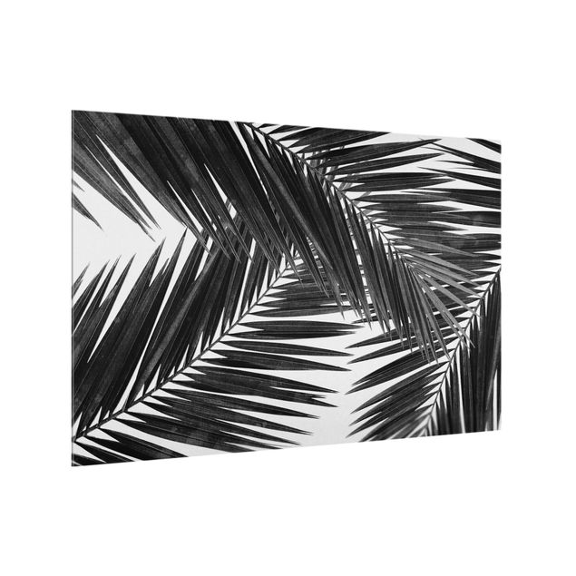 Paraschizzi con paesaggio Vista tra le foglie di palme in bianco e nero