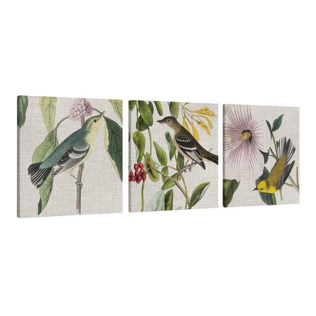 Quadri di fiori Uccelli su lino - Set I
