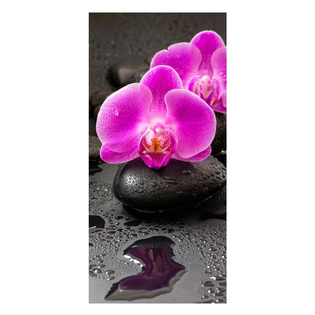 Lavagne magnetiche con fiori Fiore di orchidea rosa su pietra con gocce