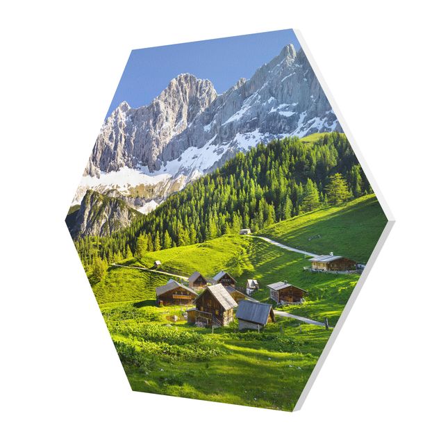 Quadro verde Prato alpino della Stiria