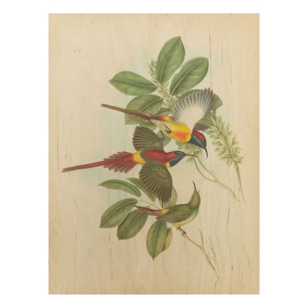 Quadri in legno con fiori Illustrazione vintage Uccelli tropicali III