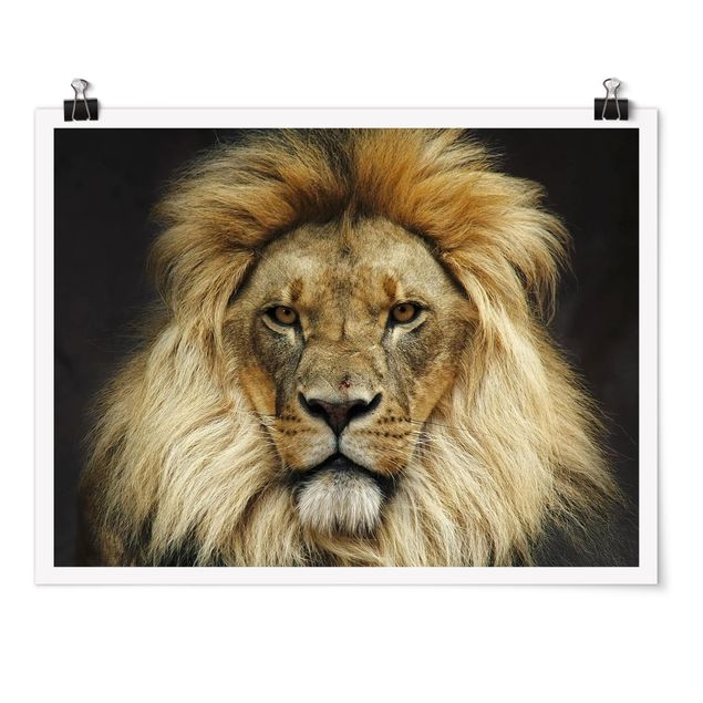 Poster animali Saggezza del Leone