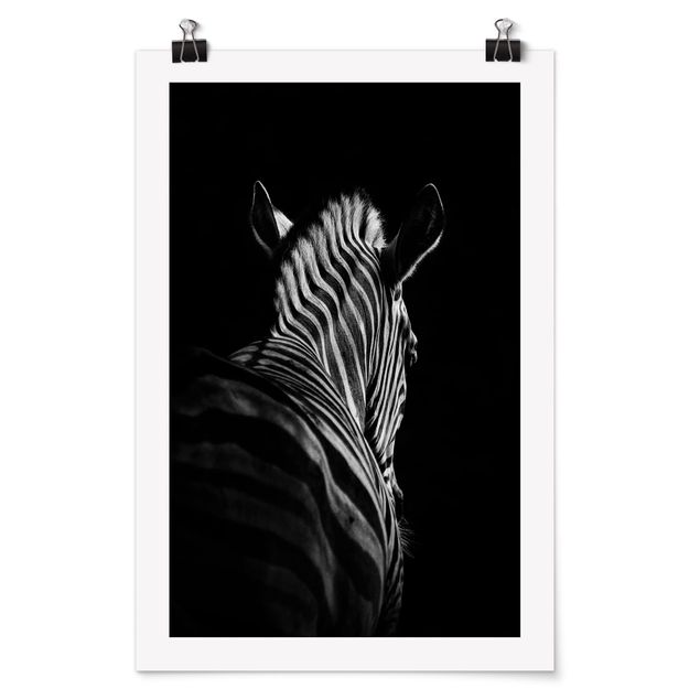 Quadro animali Silhouette Zebra scuro