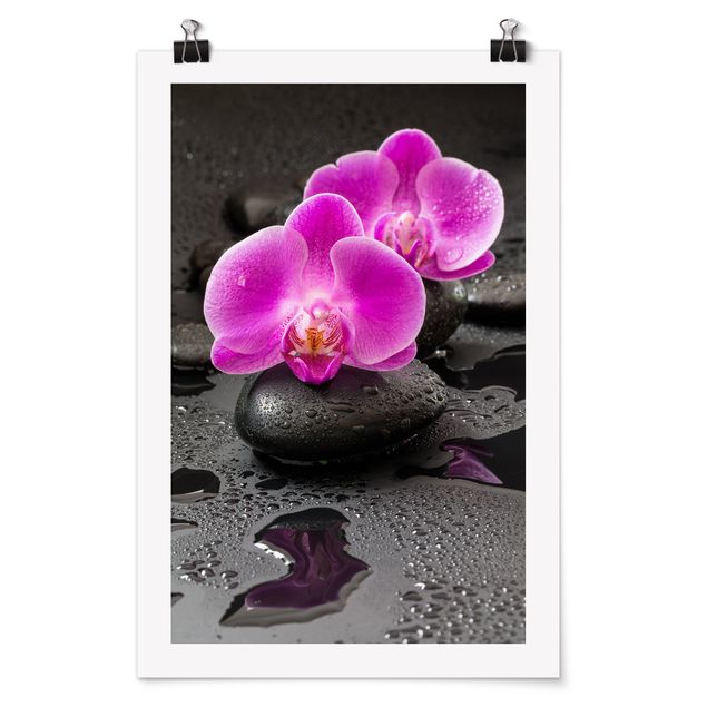 Riproduzioni quadri famosi Fiore di orchidea rosa su pietra con gocce