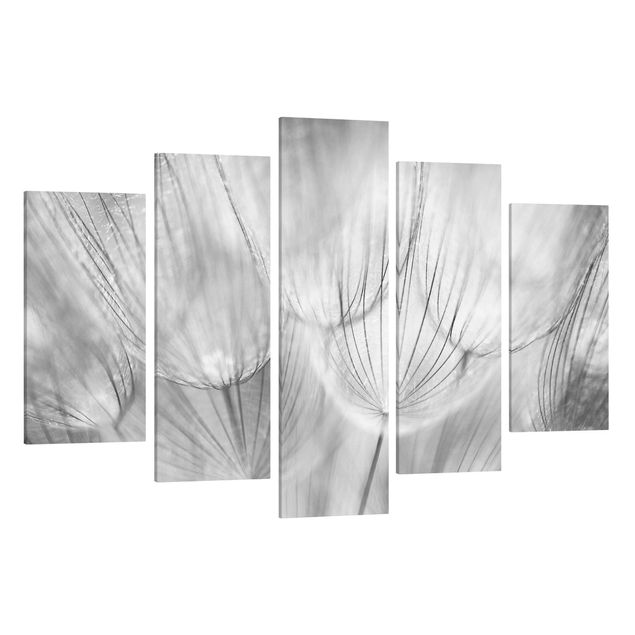 Stampa su tela 5 parti - Dandelions macro shot in black and white