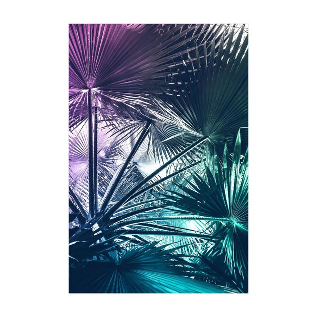 Tappeti con motivi naturali Piante tropicali Foglia di palma in turchese IIl