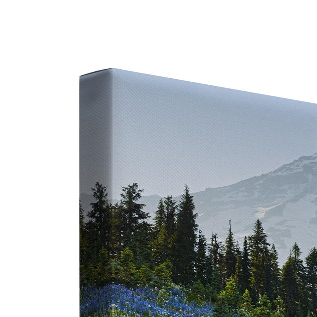 Quadri moderni per arredamento Prato di montagna con fiori blu davanti al monte Rainier