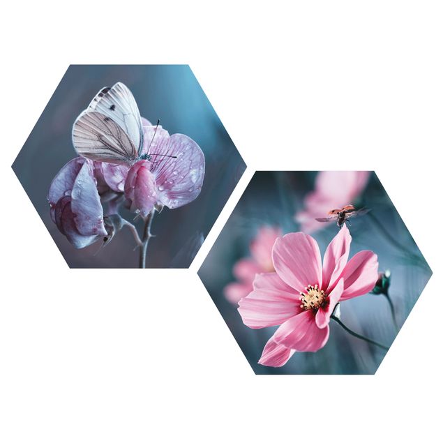 Esagono in forex - Farfalla e coccinella On Flowers