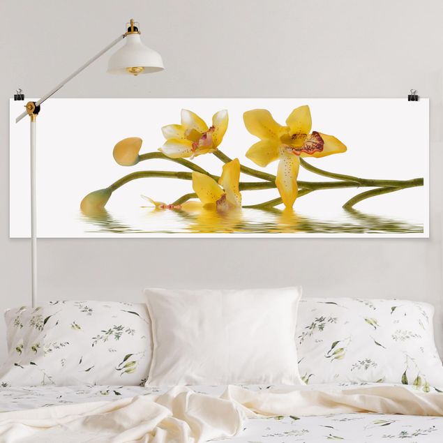 Quadri orchidee Acque di orchidee color zafferano