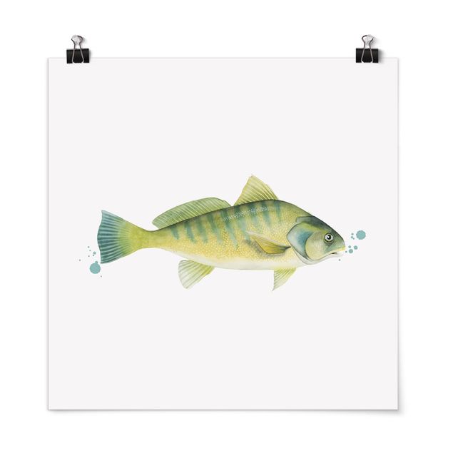 Quadri moderni   Colore Cattura - Pesce persico