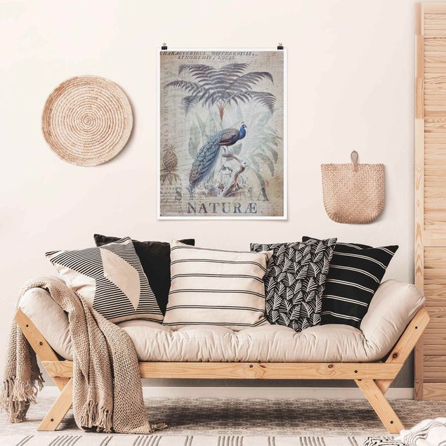 Poster retro style Collage Shabby Chic - Pavone