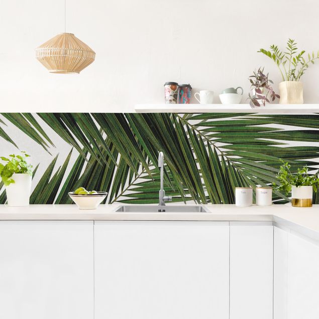 Rivestimenti cucina Vista attraverso le foglie di palma verde