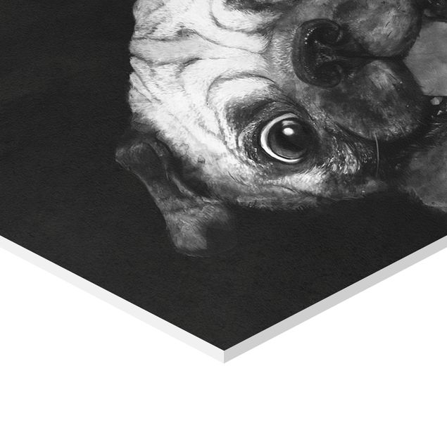 Quadri esagonali Illustrazione - cane carlino pittura su bianco e nero