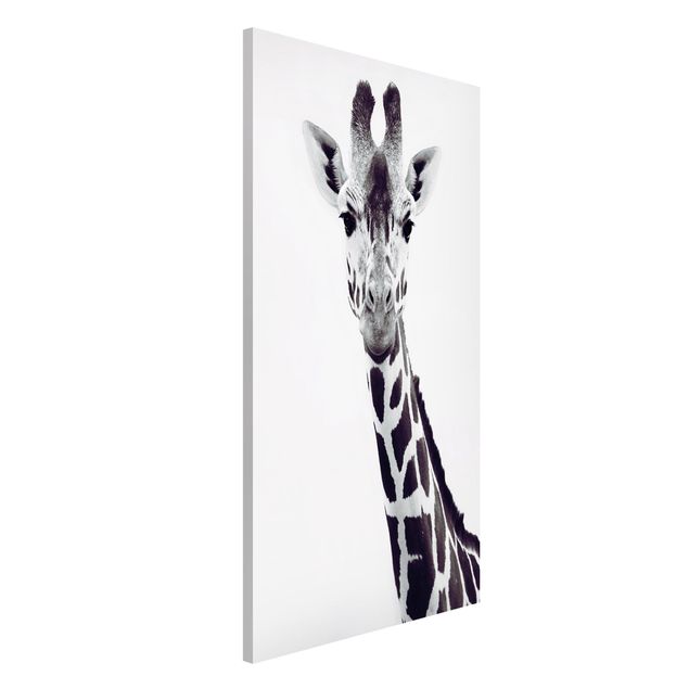 Quadro giraffa Ritratto di giraffa in bianco e nero