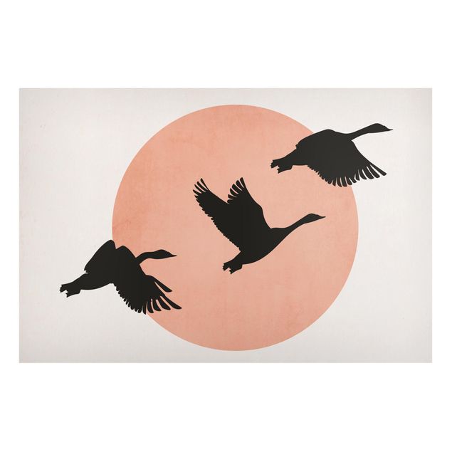 Lavagne magnetiche con paesaggio Uccelli di fronte al sole rosa III
