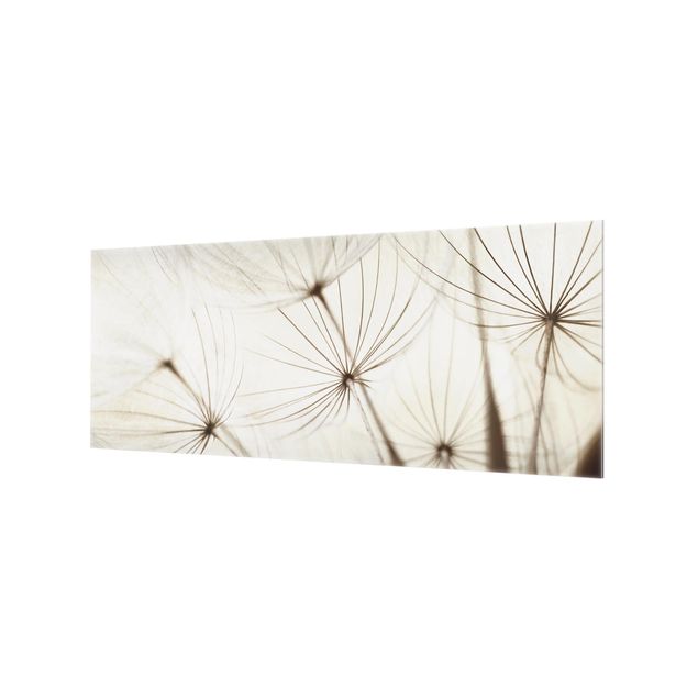 Paraschizzi in vetro - Gentle Grasses