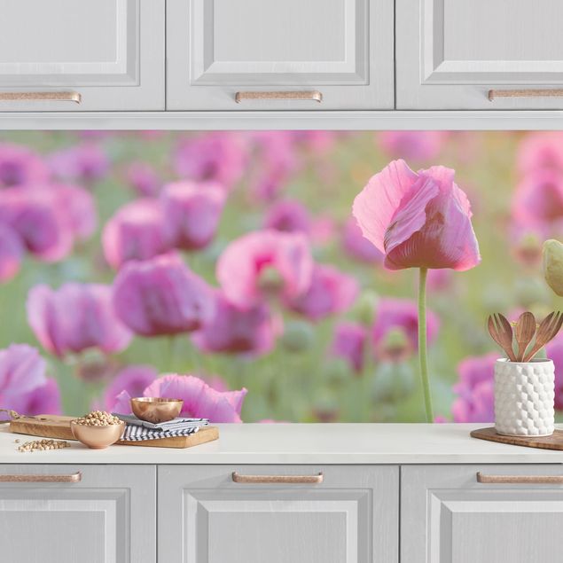 Rivestimenti per cucina con fiori Prato di papaveri viola in primavera