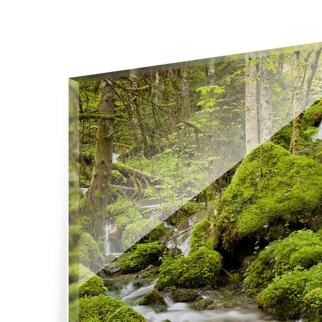 Quadro verde Pietre muschiate in Svizzera