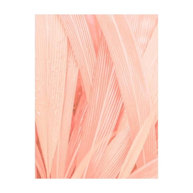 Tappeti con motivi naturali Foglie di palma rosa